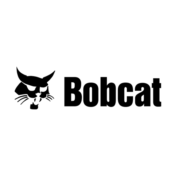 Bobcat